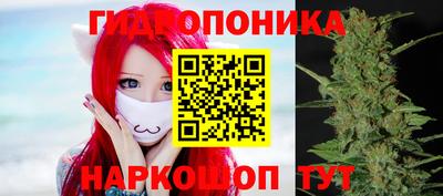 индика Ливны