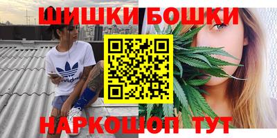 индика Ливны