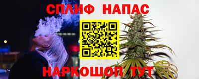 индика Ливны