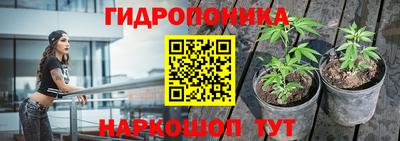 индика Ливны