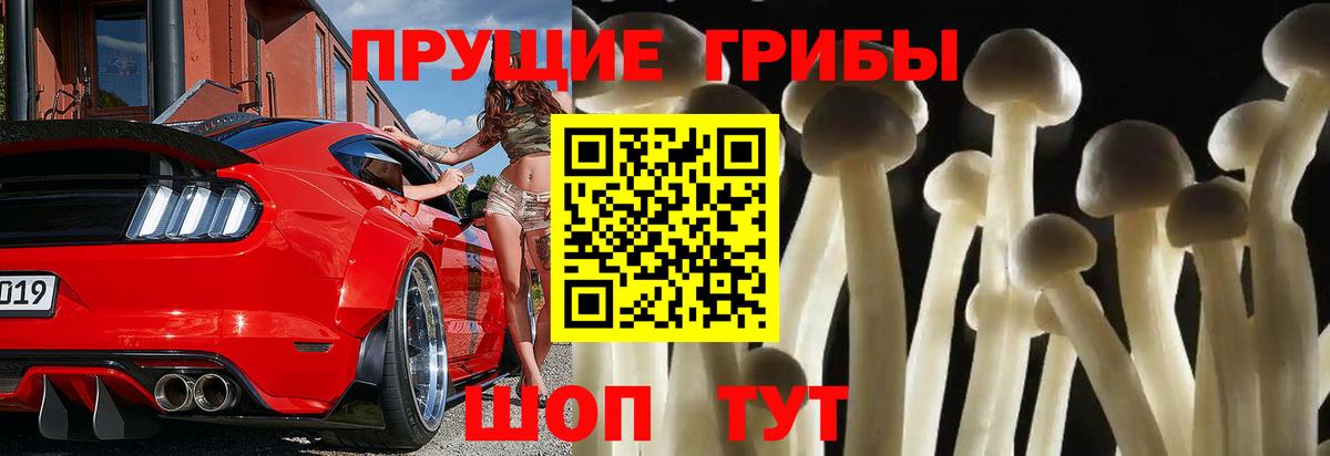 Галлюциногенные грибы прущие грибы Зерноград