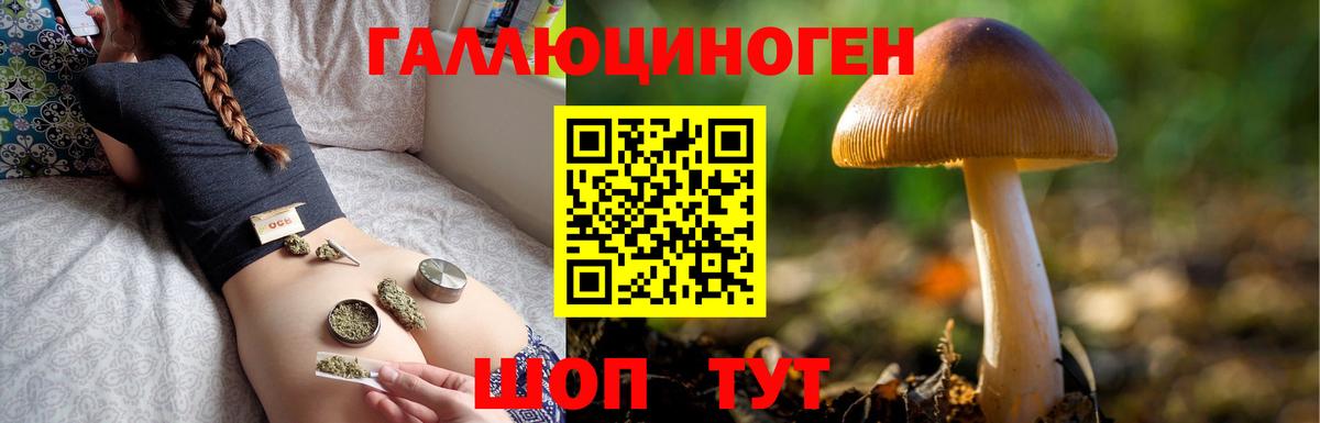 Псилоцибиновые грибы прущие грибы  Вход с VPN  Галлюциногенные грибы Psilocybe  Зерноград 