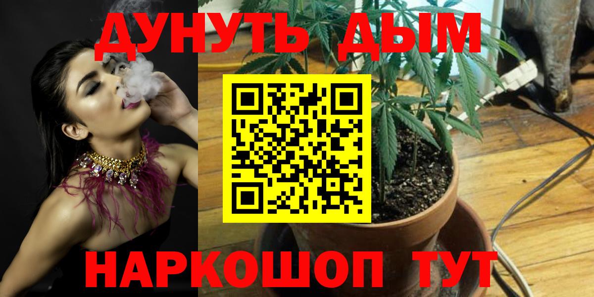 Каннабис сатива Зерноград